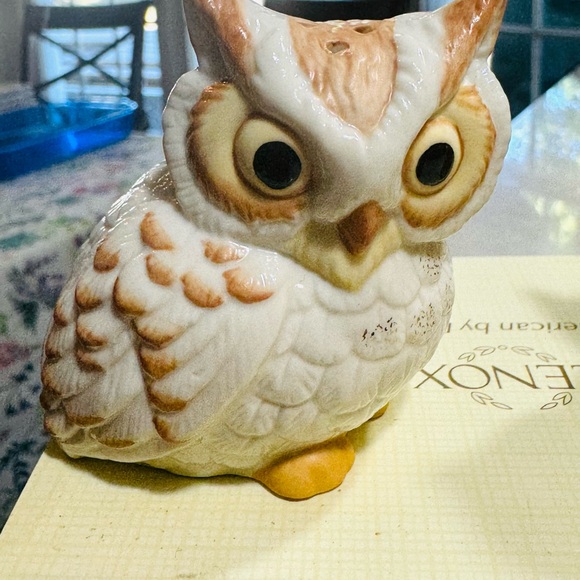 Lenox OWL Salt & Pepper Shakers "Wise Owl" NEW IN BOX - Picture 2 of 7